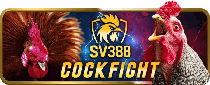 Hỗ trợ khách hàng 24/7 fb88sg